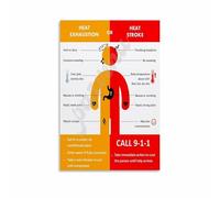 Heat Illness Awareness Poster Heat Stroke vs Heat Exhaustion Educational Chart Canvas Print for Safety Office Clinic Decor(Unframed,08x12inch(20x30cm))