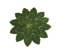 Heat Resistant Place Mat, Table Decor Green Leaves, Heat Proof Table Mat, Washable Dining Mats, Heat Insulation Place Mat, Non-Slip Eco-Friendly Safe Mat For Dining Room, Kitchen and Bathroon Use