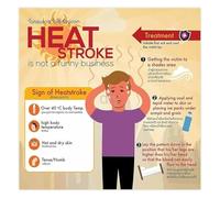 Heat Stress Treatment and Heatstroke Signs Recognition First Aid Poster for Industrial Workplace Safety(Framed,12x18inch(30x45cm))