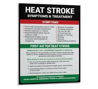 Heat Stroke First Aid Poster Symptoms Emergency Response Guide Educational Infographic Canvas Print Wall-Art(Unframed,08x12inch(20x30cm))