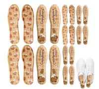 Heated Insoles, Foot Warmer Insoles, Thermal Foot Insoles, Winter Thermal Heating Insole Warm and Cozy for Hunting and Winter Adventures, Heated Boot Insole for Foot Warmth