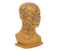 HEATSHAKING Acupuntura de Educativo de Puntos de Acupuntura Facial Herramienta Didáctica para Meridianos y para Formación