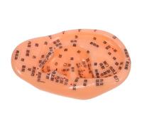 HEATSHAKING Modelo de Puntos Auriculares para Reflexología, Herramienta de Enseñanza de Acupuntura, Guía de Masaje Oreja para Educación en Medicina Tradicional China