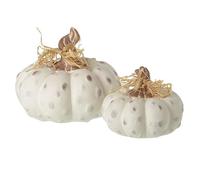 Heaven Sends Juego de 2 calabazas rústicas de cerámica blanca para Halloween