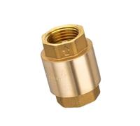 Heavy Duty 6 Inch Vertical Mount Brass Check With Thickened Body For High Pressure Systems Plumbing Applications Easy Installation Check Valves
