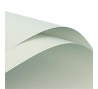 Heavyoff 20 Hojas de papel de regalo de flores con borde, suministros de ramo de floristería, impermeable, papel de regalo para Bouquets y Eventos Especiales, Verde claro, 58x58cm
