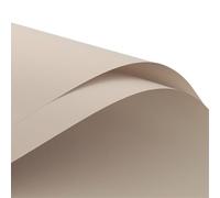 Heavyoff 20 Hojas de papel de regalo de flores con borde, suministros de ramo de floristería, impermeable, papel de regalo para Bouquets y Eventos Especiales, Gris 1, 58x58cm
