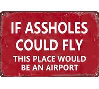 HEBELYX Divertido letrero de metal con texto en inglés "If s Could Fly This Place Would Be An Airport, Man Cave Garage Home Bar Decor 8 x 12 pulgadas, 898