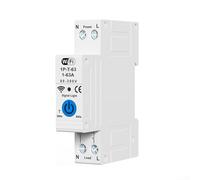 HEBEOT Disyuntor inteligente WiFi 63 A 230 V DIN montaje en carril medidor de energía KWh protección contra fugas control remoto voz para Alexa Google Home Timer