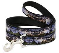 Hebilla Abajo Washington MT. Rainier Valley Landscape - Correa para Mascota, 15,2 x 1,27 cm