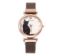 Hebilla de moda con reloj de aleación magnética para mujer, reloj de pulsera de cuero para mujer, café, One Size