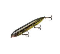 Heddon Super Spook Lure, Florida Bass