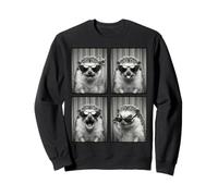 Hedgehog in Sunglasses Rokin Photobooth Selfie Animal Lover Sudadera