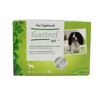 Heel - Gasteel Vet Complemento Alimenticio para Perros, con Prebióticos y Probióticos e Ingredientes Naturales, Ayuda a la Salud Digestiva y Equilibra la Flora Intestinal, con Buen Sabor - 30 Sobres