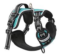 HEELE Arnés para Perro Mediano Arnes para Perro Chaleco Reflectante con 3 Hebillas de Liberación Pápida Arnés para Perro Ajustable, Mango Acolchado, Confort, Liberacion del Cuello, Turquesa, L