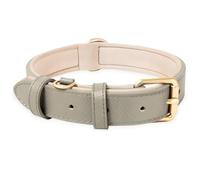 HEELE Collar de Perro Cómodo y Duradero, Ajustable con Acolchado Suave, de Cuero para Razas Pequeñas, Medianas y Grandes, Nuevo-Gris, M