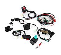 HEEPDD Arnés de Cableado Rectificador de Bobina CDI con relé de Bujía de Encendido para ATV Quad Dirt Bike