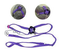 HEEPDD Arnés y Correa de Ave de 1,2 m, Cuerda de Entrenamiento antiparreja de Vuelo Ajustable para Loros cacatúa Gris Africana y Paseo al Aire Libre de lagartos Reptiles (Purplr)