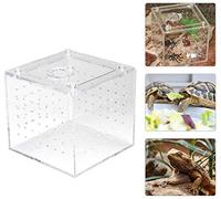 HEEPDD Caja acrílica para cría de reptiles, caja de visualización transparente para arañas, grillos, caracoles, cangrejos ermitaños, tarántulas
