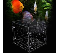 HEEPDD Caja de Cría de Peces de Acrílico, Caja de Cría de Aislamiento con Divisor de 30 X 15 X 15 Cm, Soporte de Ventosa de Doble Fijación Ajustable para Guppies, Camarones, Peces Payaso, Alevines,