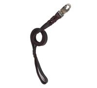 HEEPDD Collar de Cuero de Cuero y Correa para Caminatas, para Perros Medianos a Grandes de hasta 110 Libras, Marrón, 1pc (2.5 * 120cm)