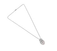 HEEPDD Collar para Cenizas de Mascotas, Collar de Urna de Acero Inoxidable, Colgante Conmemorativo Pequeño para Cenizas de Perros y Gatos, Soporte para Recuerdos de Joyería de Cremación con Diseño