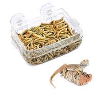 HEEPDD Comedero para reptiles, comedero antideslizante transparente con ventosa para gusanos, cuenco de alimentación para reptiles anfibios para lagartos camaleones Gecko