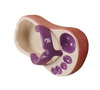 HEEPDD de Cerámica para Patatas Fritas, Divertido Cuenco para Servir Aperitivos con Acabado Vibrante, Decoración única para el Hogar para Cocina y Cafetería (PURPLE)