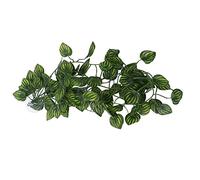 HEEPDD Decoración de plantas de paisajismo de lagarto trepador de plástico para caja de reptiles, acuario y pecera, vid falsa colgante para escalada de mascotas, 6.5-8 pies (#1)