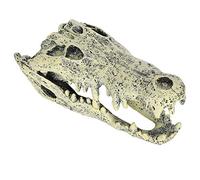 HEEPDD Decoración única del Cráneo de Peces, Exquisito Adorno de Calavera de Simulación de Resina para Acuario, 15x6.5x5.5cm