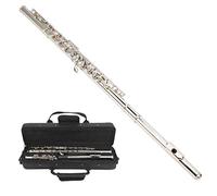 HEEPDD Flauta C de 16 Hoyos, Almohadilla de Latón y Carcasa de Oveja, Elegante Flauta Plateada con Sonido Claro para Principiantes y Conciertos (SILVER)