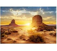 HEEPDD Fondo de acuario, fondo de pecera del desierto del terrario, adhesivo de PVC grueso, papel tapiz adhesivo estático para decoración de terrarios y acuarios