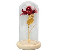 HEEPDD Rosa eterna luminosa, hermoso simbolismo, buena suerte, romántica rosa en una cúpula de cristal con base de madera transparente, para decoración del hogar (oro, rosa rojo)