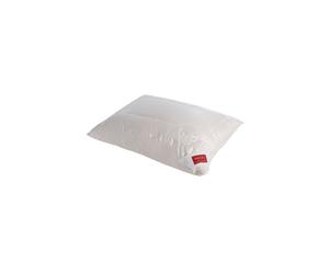 HEFEL Almohada Pure Silk 40x60cm (Champán) 360g crema