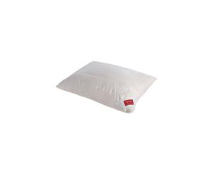 HEFEL Almohada Pure Silk 40x80cm (Champán) 480g crema