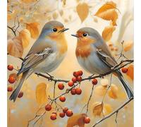 HEIBAGO 5D Diamond Painting Pájaros, Pintura Diamante Animales, Diamond Painting Kit Completo Niños, Paisaje Manualidades Adultos Diamond Painting Para Decoración De Pared Del Hogar 30x40cm