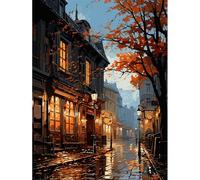 HEIBAGO Pintura por números para adultos, kit de pintura al óleo de paisaje nocturno de ciudad para principiantes, pintura por números, lienzo de lluvia, paisaje, imágenes artísticas para decoración