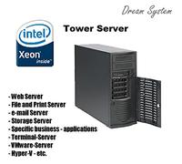 HeidePC Torre Servidor Intel Xeon 8MB E3-1275V3 4x3.5GHz 8GB 2xHDD 2000GB (4TB) 24xDVD ± RW 2xLAN WSBS