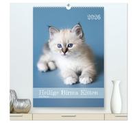 Heilige Birma Kitten Kalender mit Planer (hochwertiger Premium Wandkalender 2026 DIN A2 hoch), Kunstdruck in Hochglanz: Niedliche Fotografien verspielter Katzenkinder.