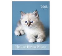 Heilige Birma Kitten Kalender mit Planer (Tischkalender 2026 DIN A5 hoch), CALVENDO Monatskalender: Niedliche Fotografien verspielter Katzenkinder.