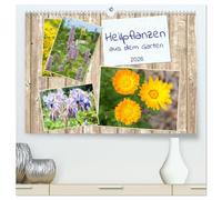 Heilpflanzen aus dem Garten (hochwertiger Premium Wandkalender 2026 DIN A2 quer), Kunstdruck in Hochglanz: Vergessene Heilkräuter wieder kennenlernen