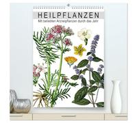Heilpflanzen (hochwertiger Premium Wandkalender 2026 DIN A2 hoch), Kunstdruck in Hochglanz: Mit beliebten Arzneipflanzen durch das Jahr