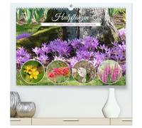 Heilpflanzen - Schätze im Garten (hochwertiger Premium Wandkalender 2026 DIN A2 quer), Kunstdruck in Hochglanz: Überraschend viele Pflanzen in unseren ... und finden Verwendung in der Naturmedizin