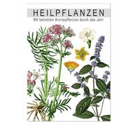 Heilpflanzen (Wandkalender 2026 DIN A2 hoch), CALVENDO Monatskalender: Mit beliebten Arzneipflanzen durch das Jahr