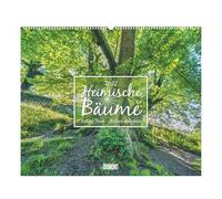 Heimische Bäume 2027: Wandkalender 60x50 cm mit Naturfotografie und 3-sprachigem Kalendarium