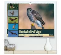 Heimische GREIFVÖGEL Adler Milan Bussard Weihe Sperber (hochwertiger Premium Wandkalender 2026 DIN A2 quer), Kunstdruck in Hochglanz: Ausgesuchte Aufnahmen aus der Familie der Habichtartigen