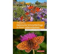 Heimische Schmetterlinge in ihren Lebensräumen: entdecken und erkennen