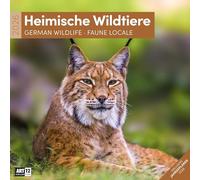 Heimische Wildtiere Broschürenkalender 2026 - 30x30 - Art12: Bildgewaltiger Tier-Kalender im schlanken Hochformat (aufgeklappt 30x60 cm) | Notizen
