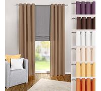 heimtexland® Cortina en Color marrón Oscuro, Opaca, Pero Deja Pasar la luz, 245 x 140 cm - Cortina de Microfibra con Bonita caída Ligera - Cortina marrón Claro Tipo 117