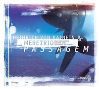 Heinrich von Kalnein - Passagem (LP) [Vinilo]
